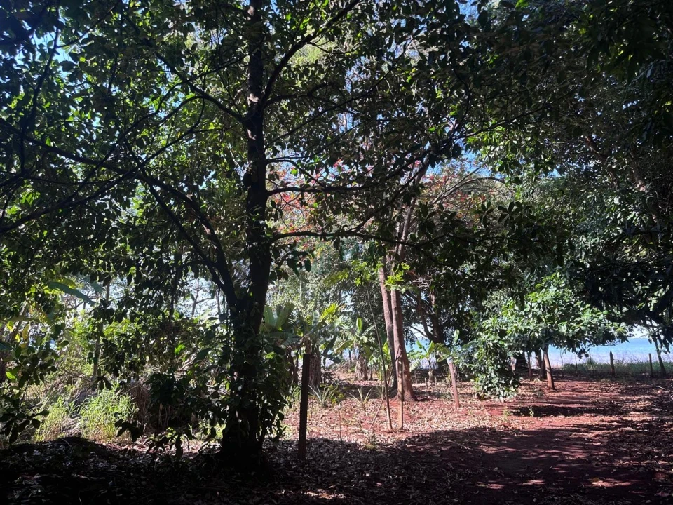 Imagens do imóveis Chácara à Venda em Sertanópolis – Espaço, Conforto e Tranquilidade