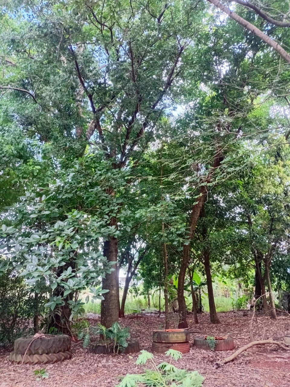 Imagens do imóveis Chácara à venda – Vila Rural Taquara do Reino