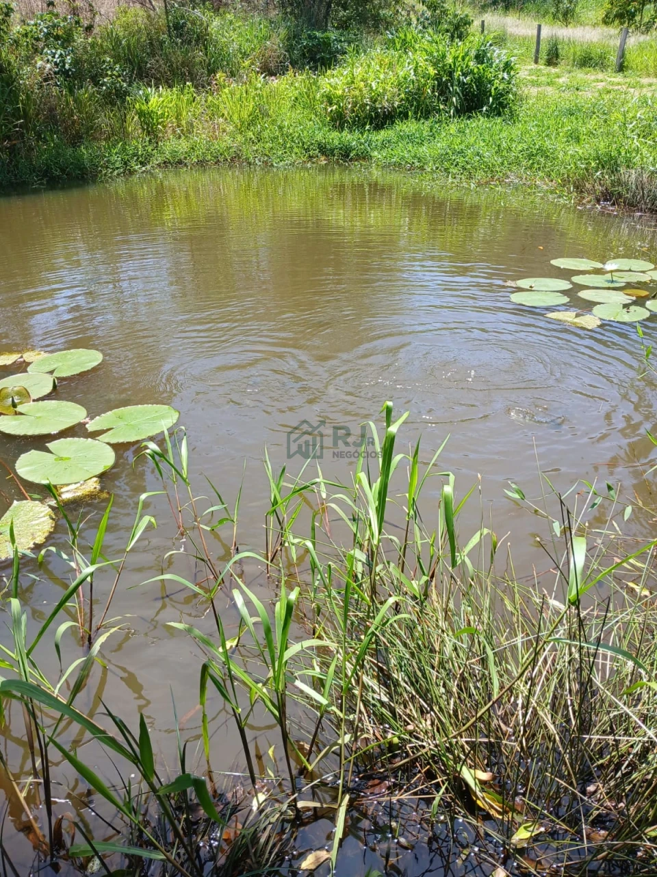 Imagens do imóveis Chacára com 22.916 m² toda cercada no Município de Maravilha