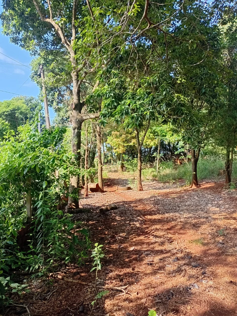 Imagens do imóveis Chácara à venda – Vila Rural Taquara do Reino