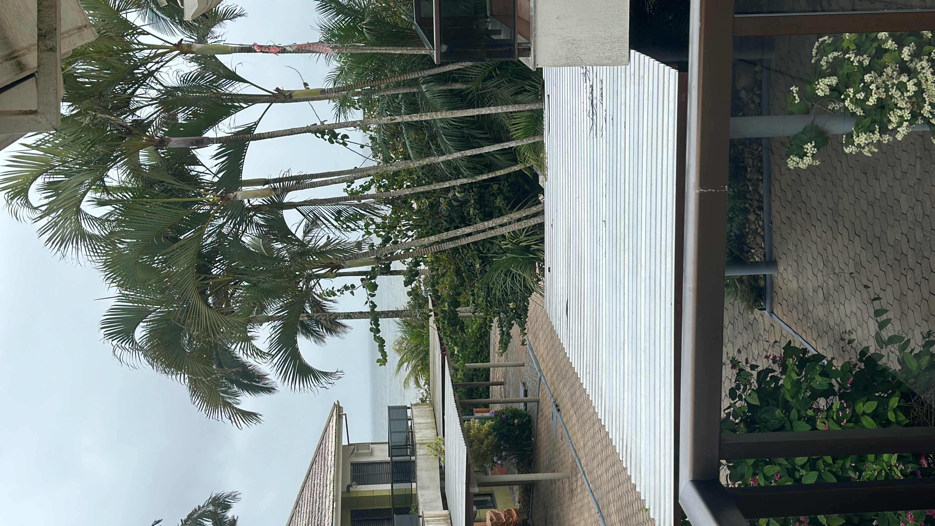 Imagens do imóveis Aluga-Se Casa Praia Pé Na Areia Condomínio