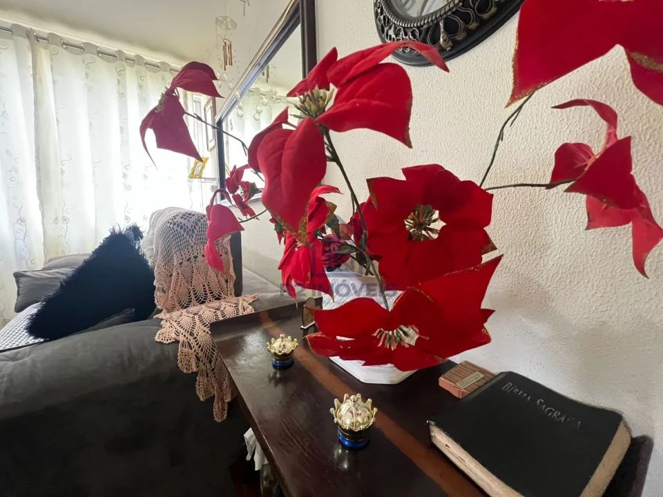 Imagens do imóveis Apartamento no Boehmerwald