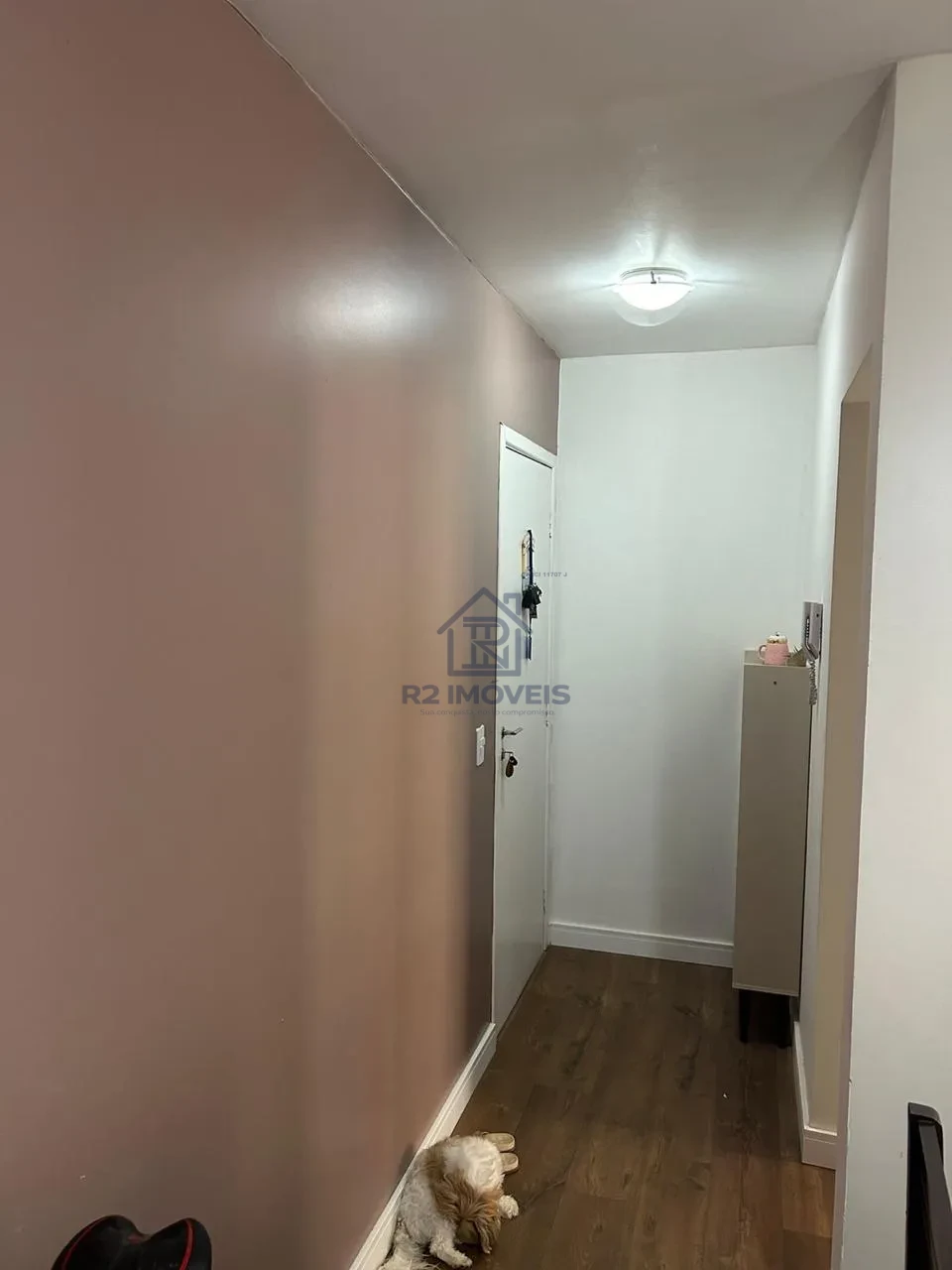 Imagens do imóveis Apartamento Terreo no Joao costa