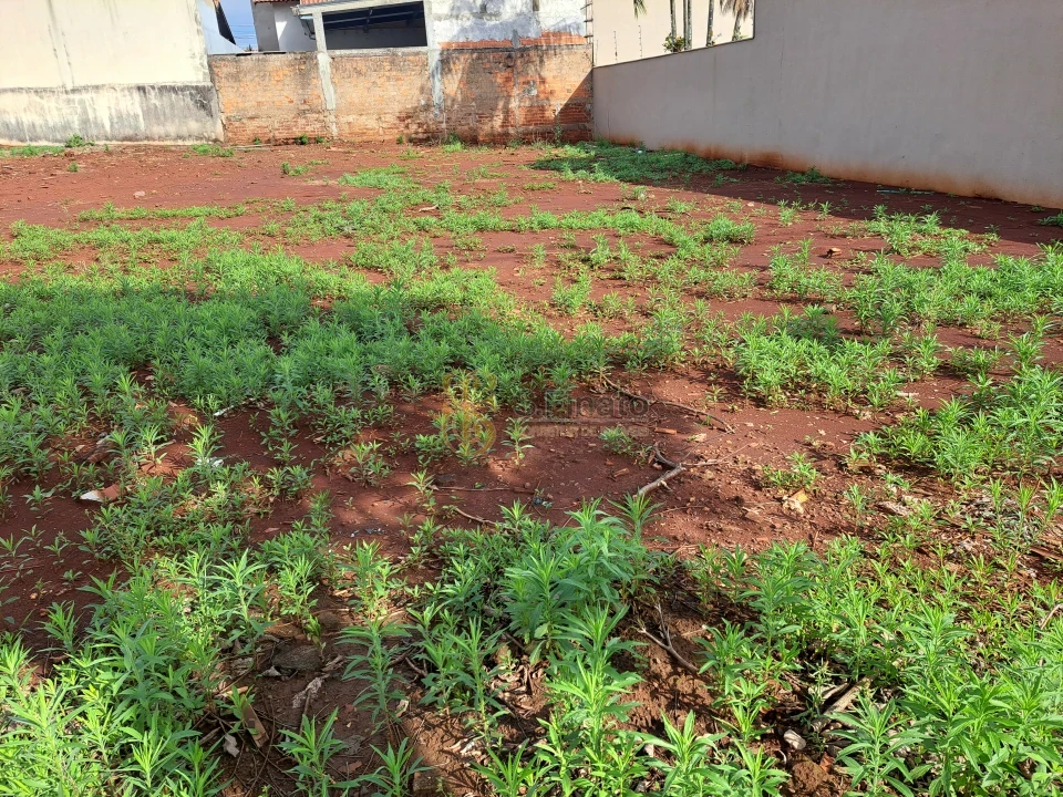 Imagens do imóveis Terreno