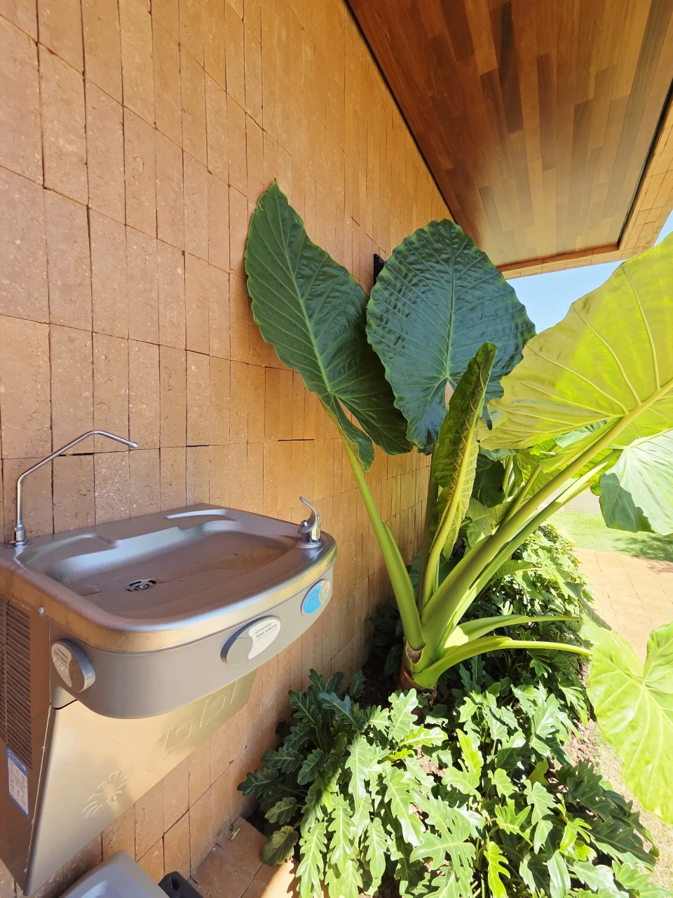 Casa a Venda com 4 Suítes