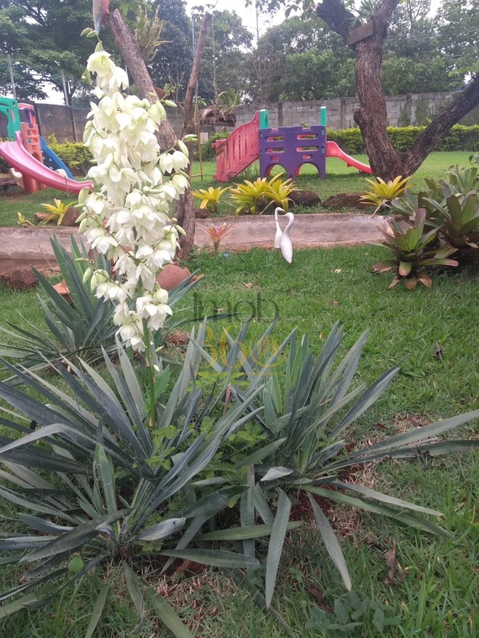 Imagens do imóveis CHÁCARA Á VENDA -  MARIO CAMPOS