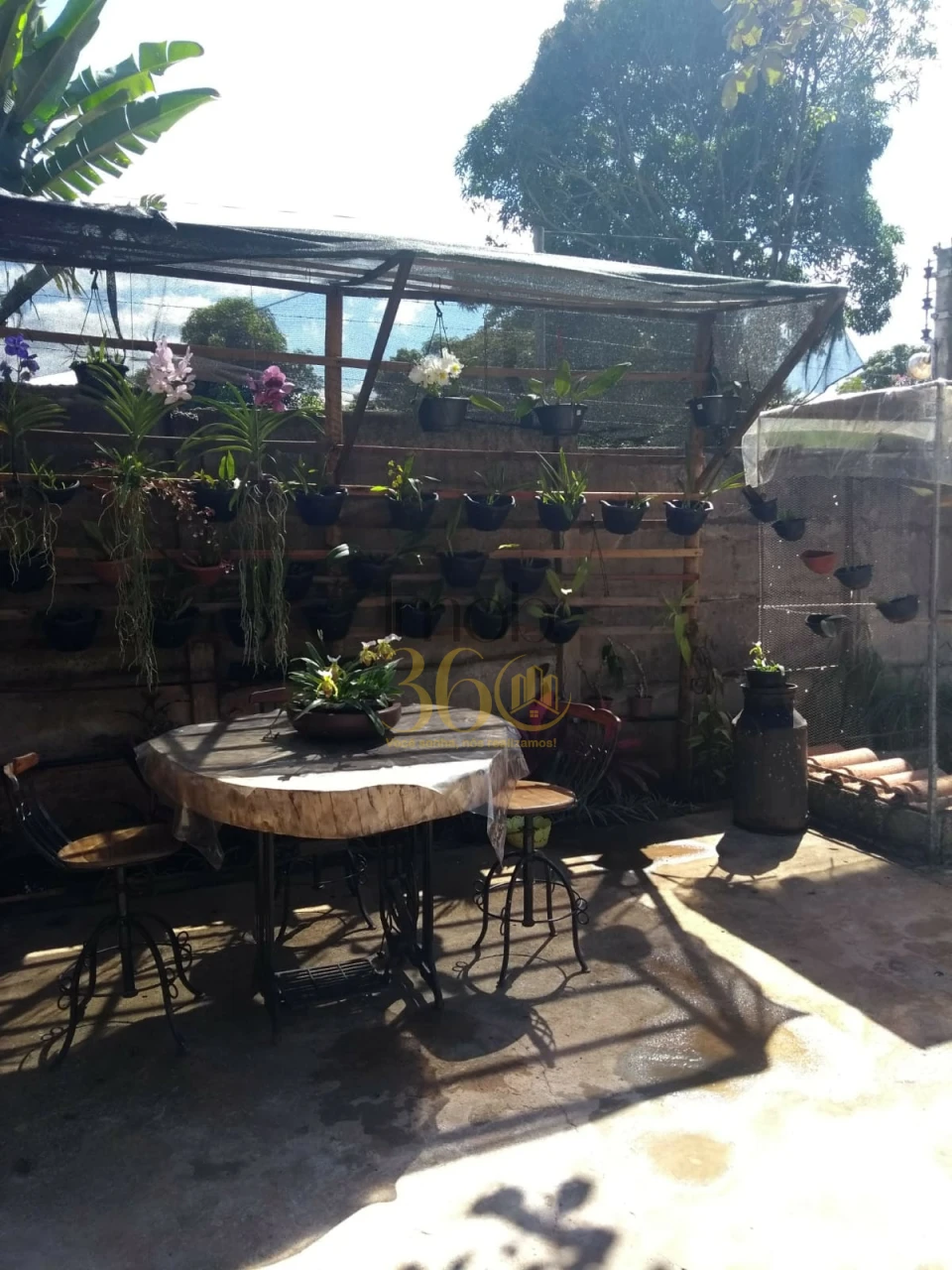 Imagens do imóveis CHÁCARA Á VENDA -  MARIO CAMPOS