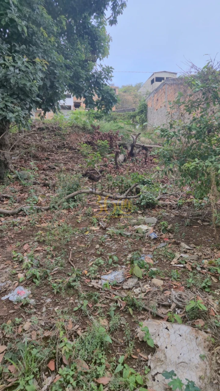 Imagens do imóveis LOTE À VENDA - BAIRRO DIAMANTE