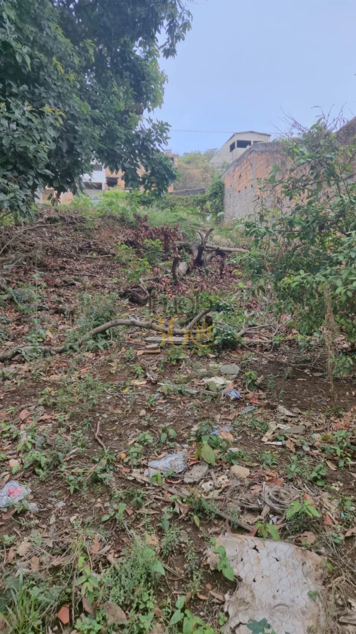 Imagens do imóveis LOTE À VENDA - BAIRRO DIAMANTE