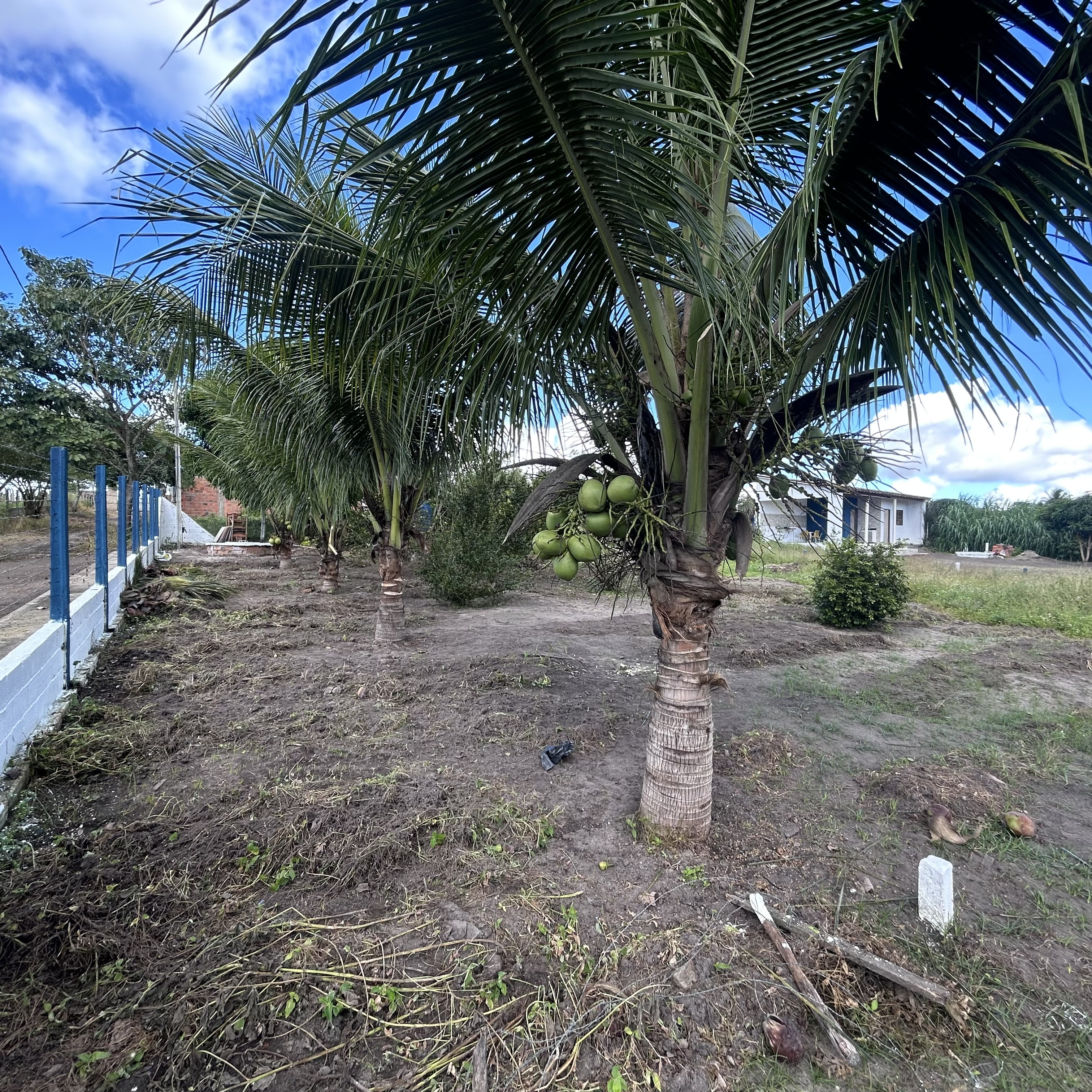 Imagens do imóveis Fazenda/Sítios/Chácaras Á Venda Chacara Canto Feliz Arapiraca