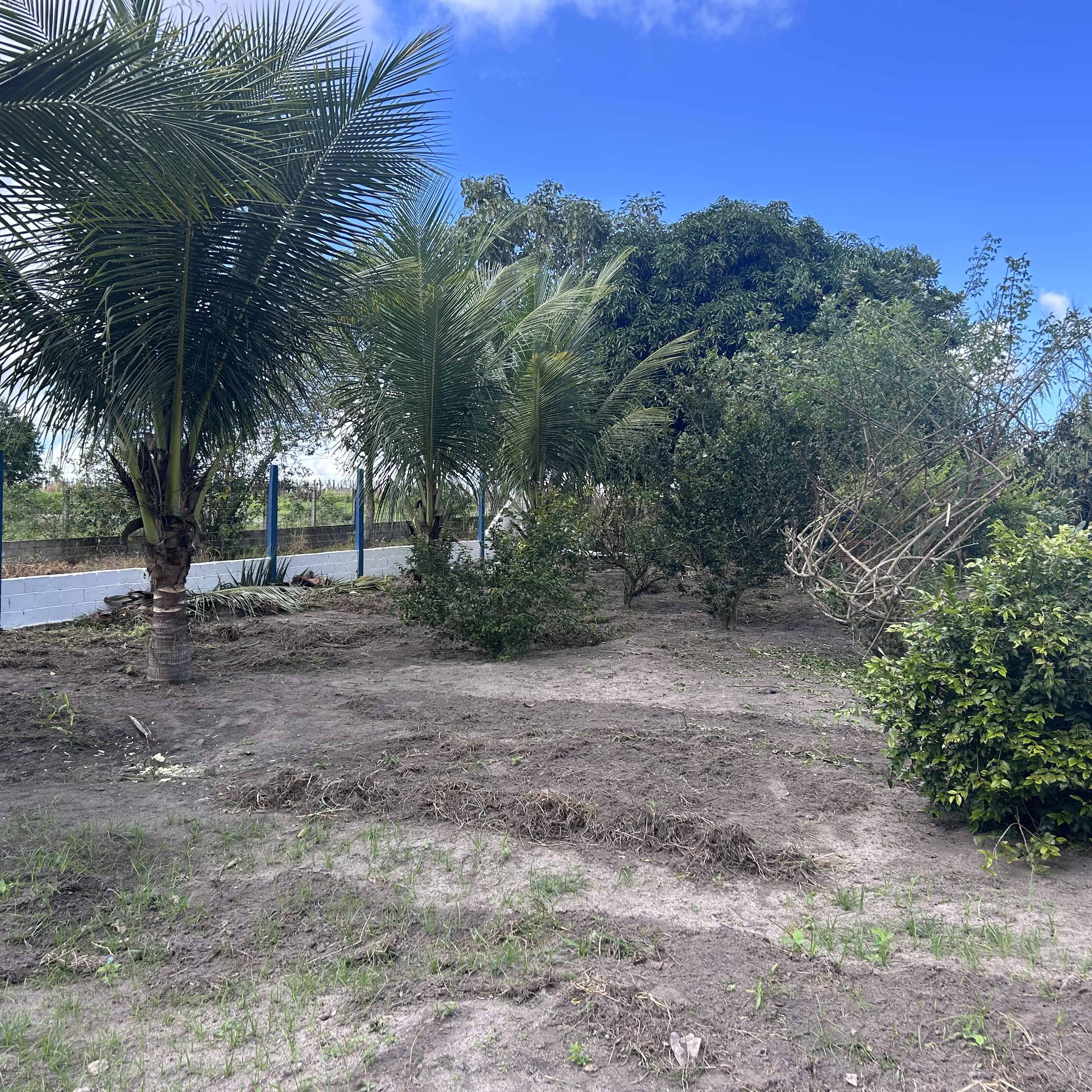 Imagens do imóveis Fazenda/Sítios/Chácaras Á Venda Chacara Canto Feliz Arapiraca