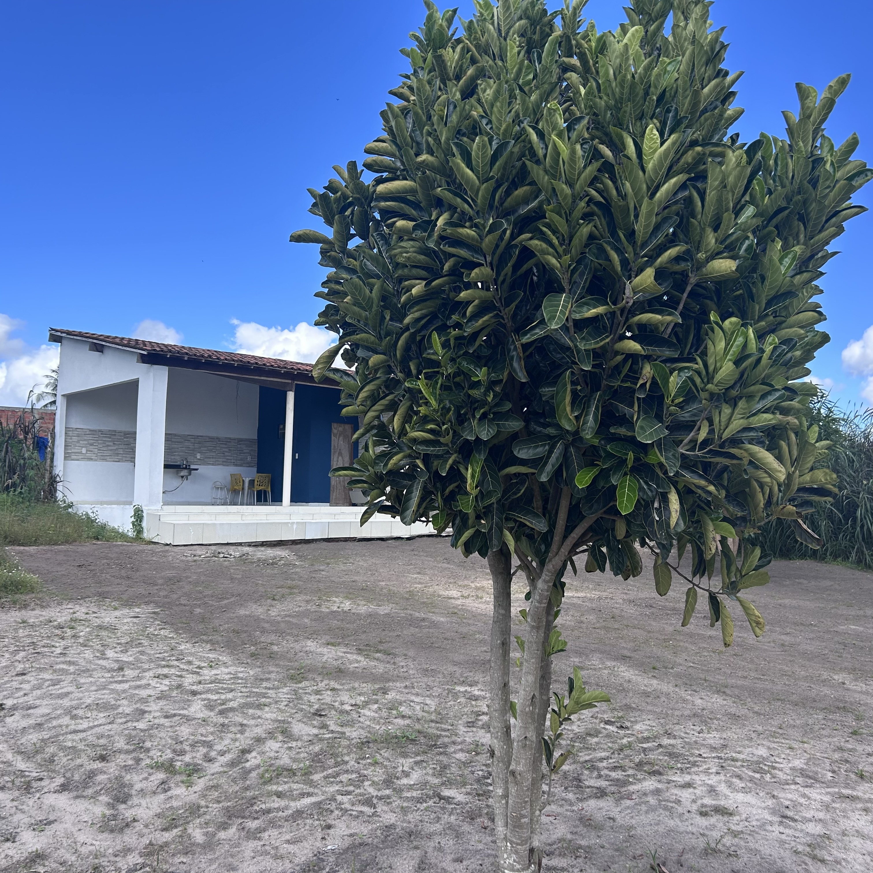 Imagens do imóveis Fazenda/Sítios/Chácaras Á Venda Chacara Canto Feliz Arapiraca