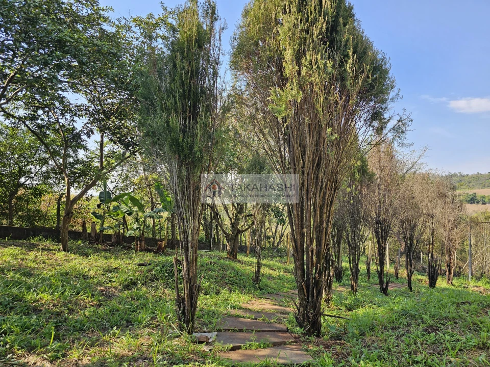 Fazenda/Sítios/Chácaras À Venda Condominio Itauna Ibiporã