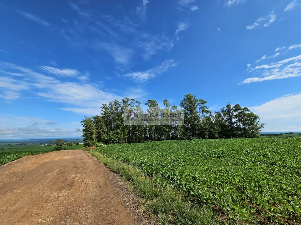 Fazenda/Sítios/Chácaras À Venda Área Rural De Cambé Cambé