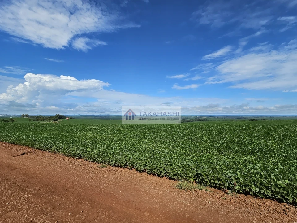 Fazenda/Sítios/Chácaras À Venda Área Rural De Cambé Cambé