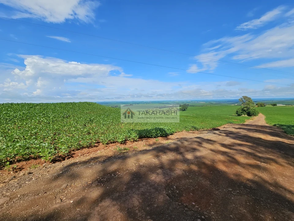 Fazenda/Sítios/Chácaras À Venda Área Rural De Cambé Cambé