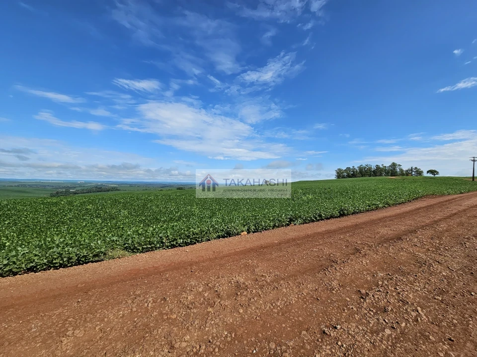 Fazenda/Sítios/Chácaras À Venda Área Rural De Cambé Cambé