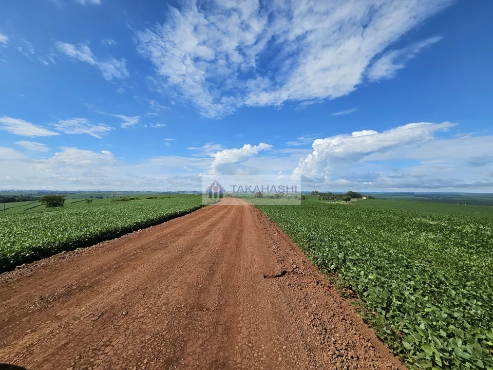 Fazenda/Sítios/Chácaras À Venda Área Rural De Cambé Cambé