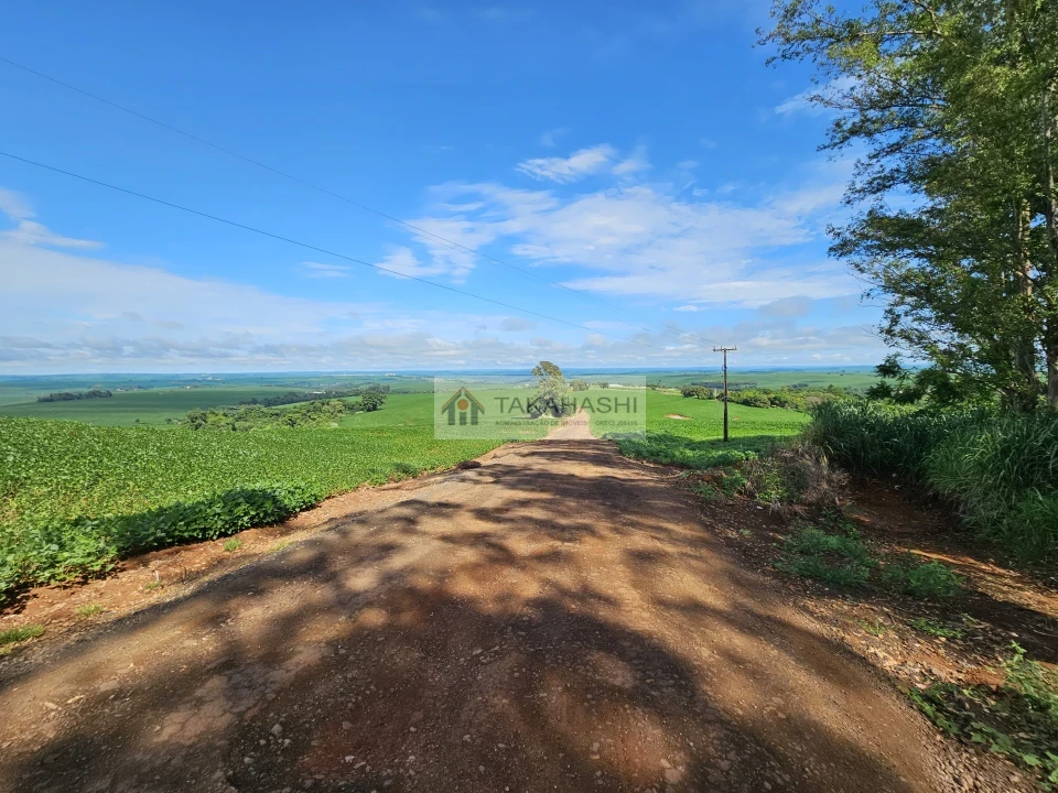 Fazenda/Sítios/Chácaras À Venda Área Rural De Cambé Cambé