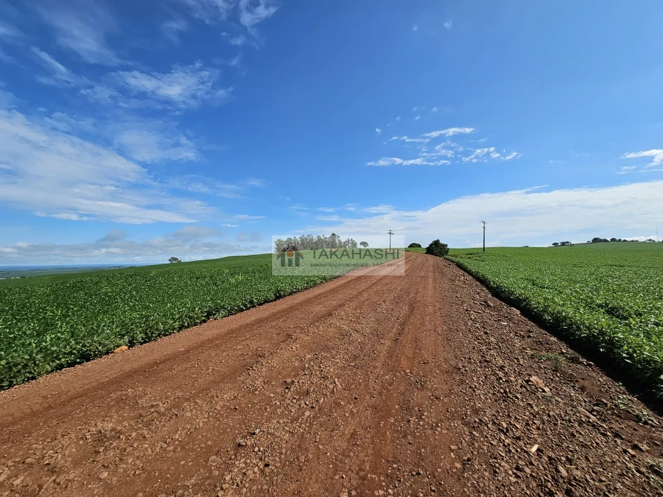 Fazenda/Sítios/Chácaras À Venda Área Rural De Cambé Cambé