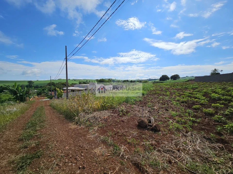 Fazenda/Sítios/Chácaras À Venda Área Rural De Cambé Cambé
