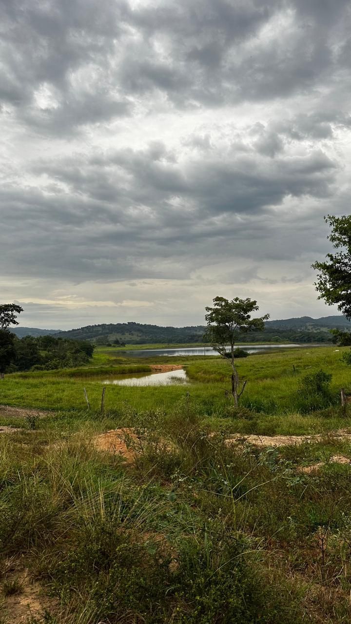 Solo fértil  – Terra de cultura às margens do Rio Corumbá Ideal para pecuária.