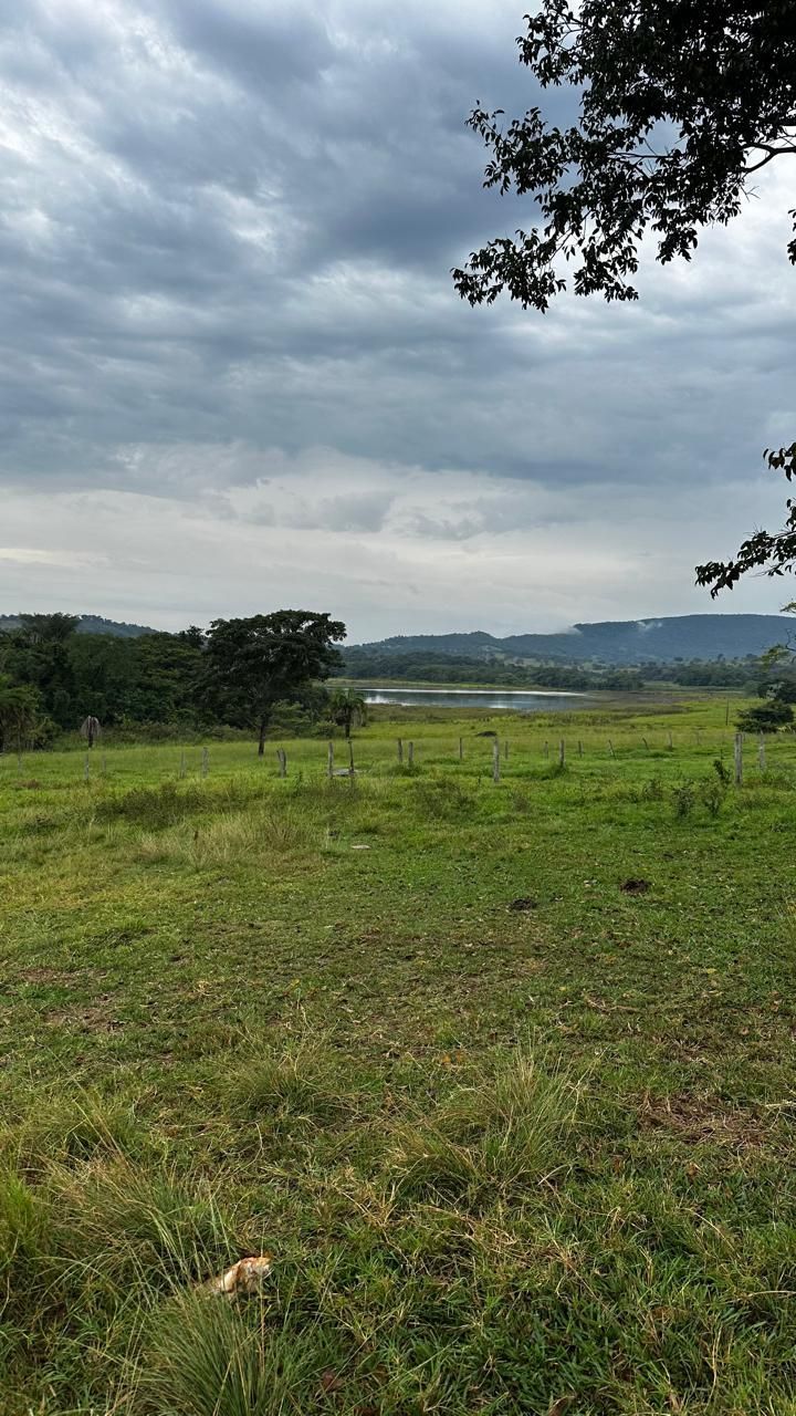 Solo fértil  – Terra de cultura às margens do Rio Corumbá Ideal para pecuária.