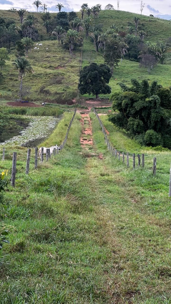 Solo fértil  – Terra de cultura às margens do Rio Corumbá Ideal para pecuária.