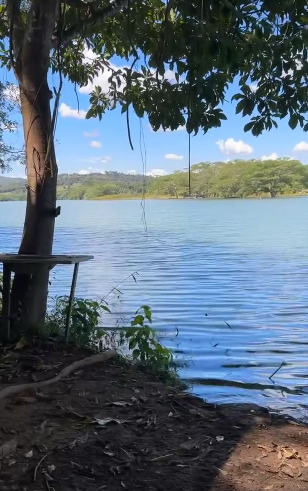 Solo fértil  – Terra de cultura às margens do Rio Corumbá Ideal para pecuária.