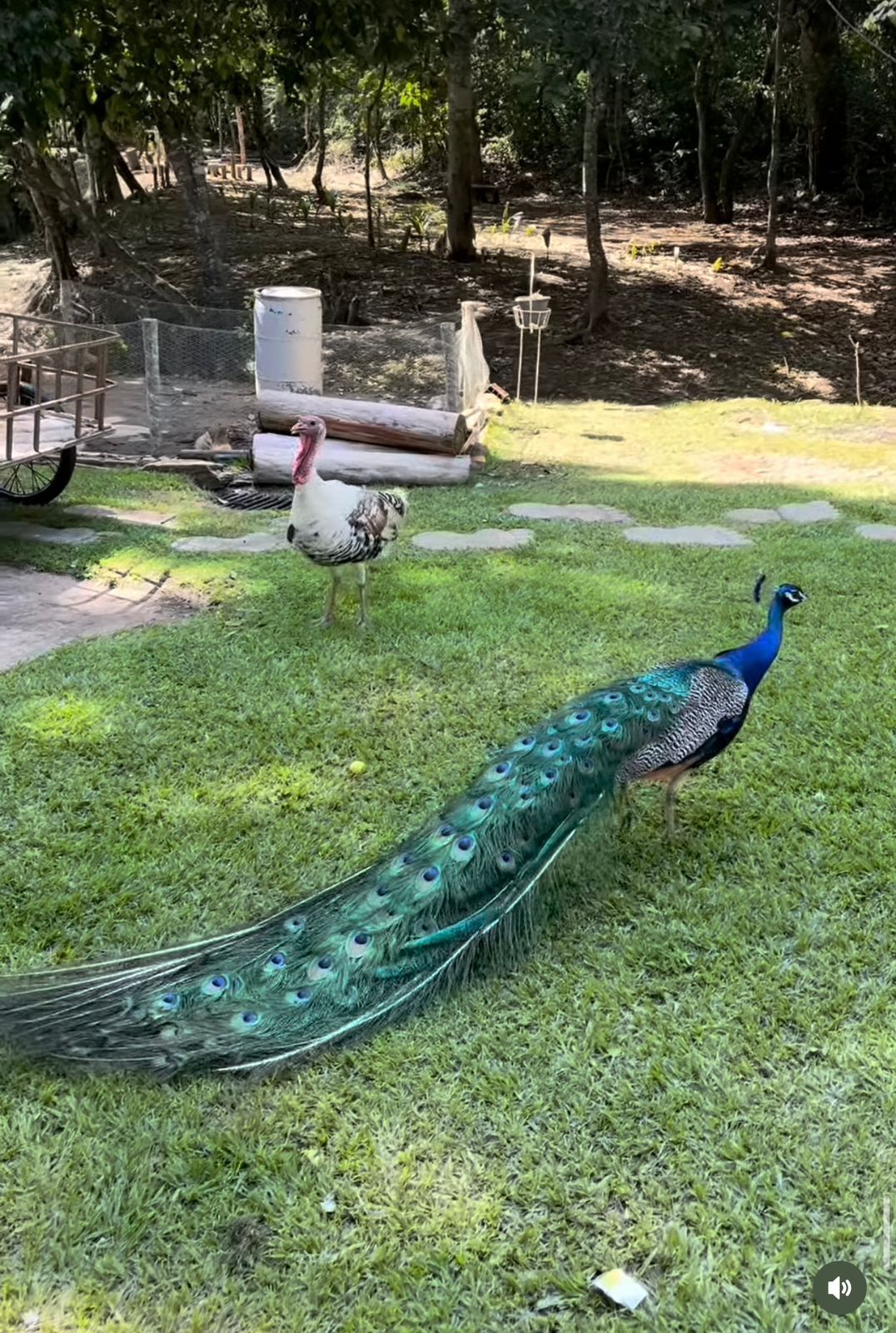 RANCHO a venda, porteira fechada.