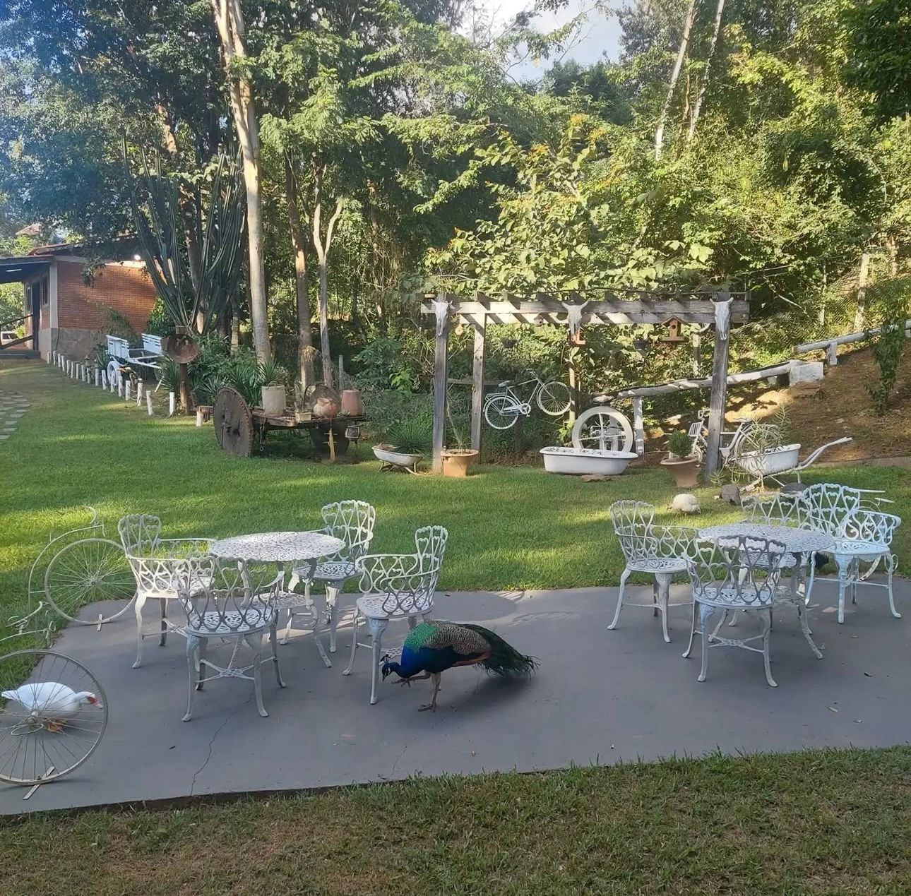 RANCHO a venda, porteira fechada.
