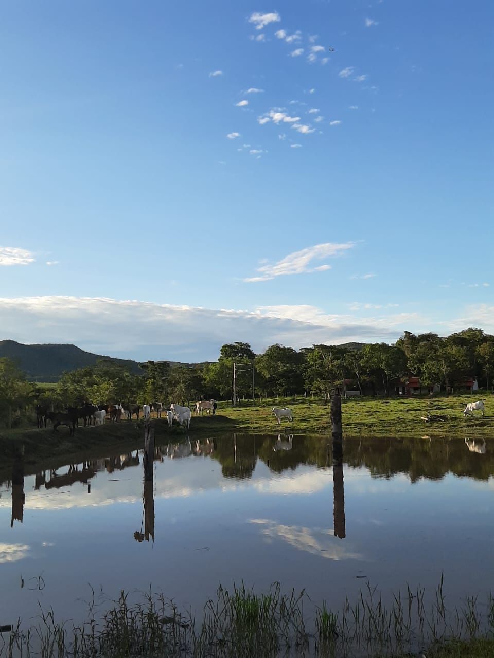 CASA DE CAMPO EM PIRENÓPOLIS, A 15 MIN DO CENTRO DA CIDADE POR 550MIL
