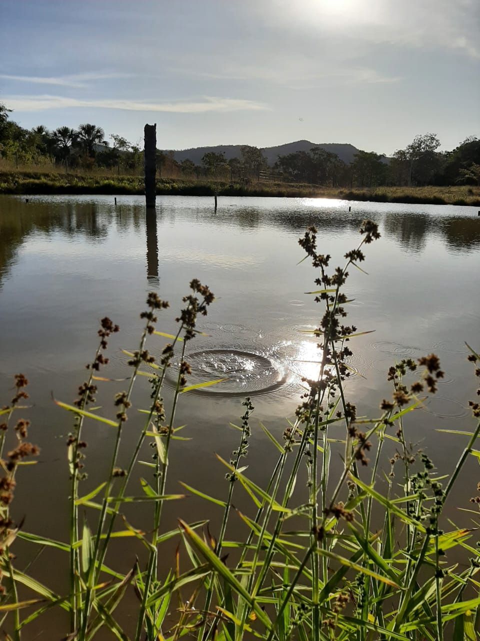 CASA DE CAMPO EM PIRENÓPOLIS, A 15 MIN DO CENTRO DA CIDADE POR 550MIL