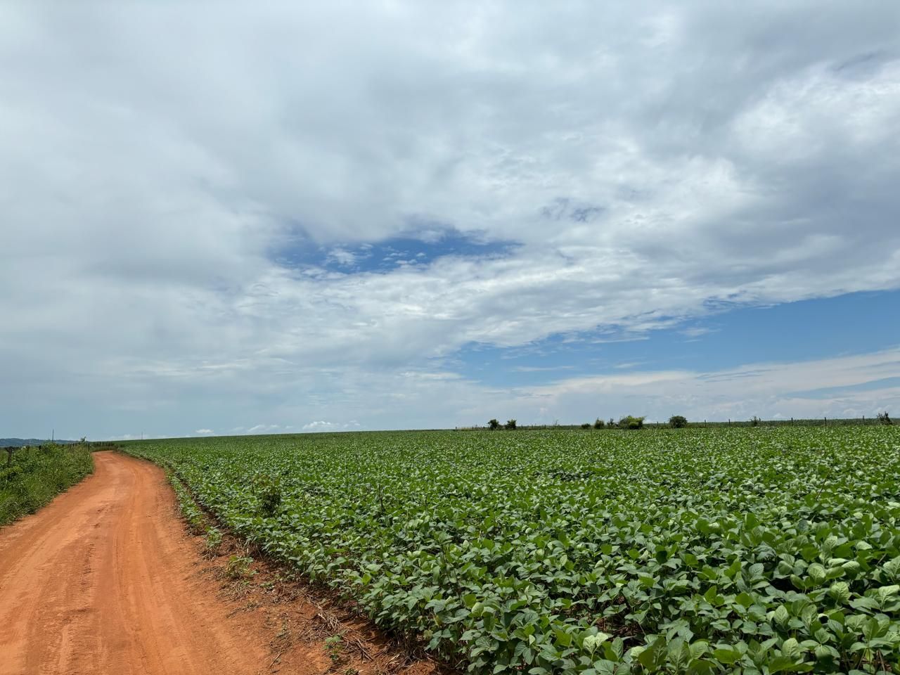 Fazenda dupla aptidão, 150 alqueires, oportunidade em Goiás.