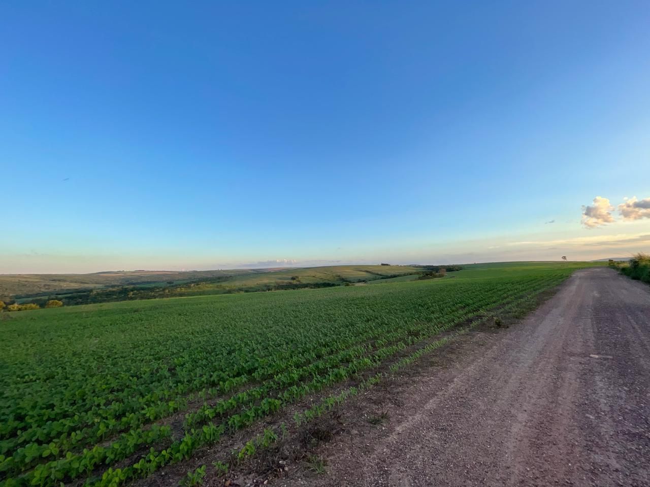 Fazenda dupla aptidão, 150 alqueires, oportunidade em Goiás.