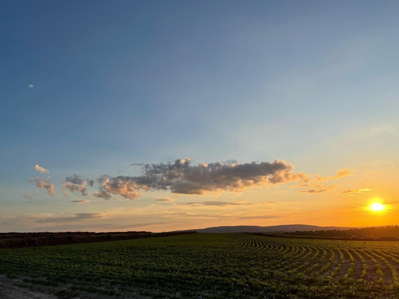 Fazenda dupla aptidão, 150 alqueires, oportunidade em Goiás.