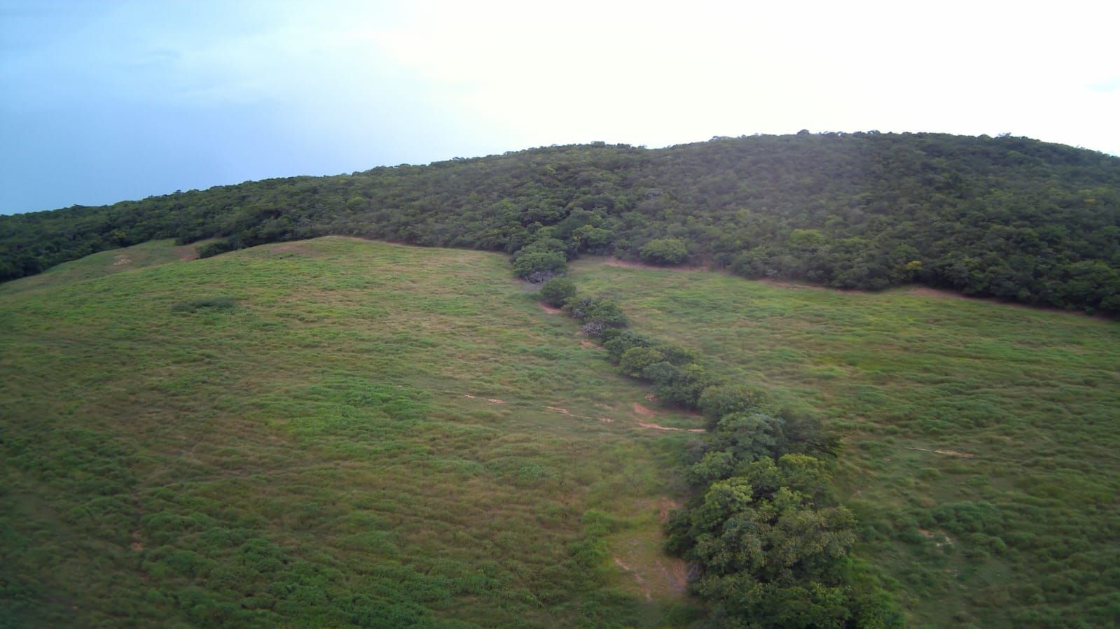 FAZENDA DE 09 ALQUEIRES À VENDA EM PIRACANJUBA
