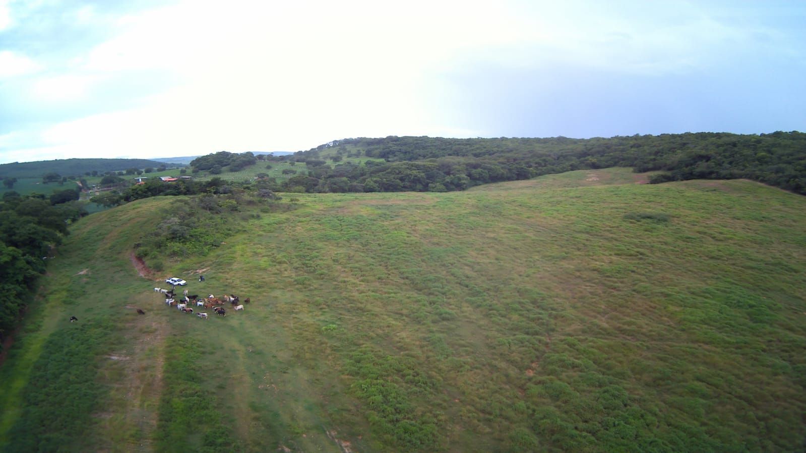 FAZENDA DE 09 ALQUEIRES À VENDA EM PIRACANJUBA