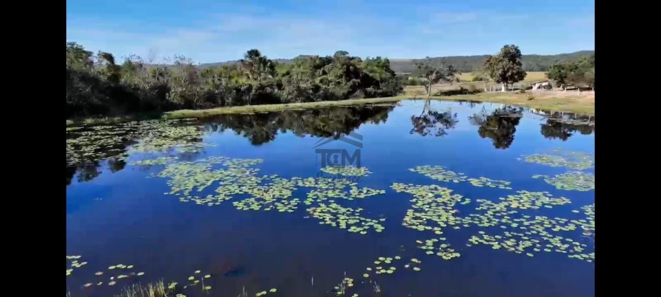 FAZENDA A VENDA EM OPORTUNIDADE
