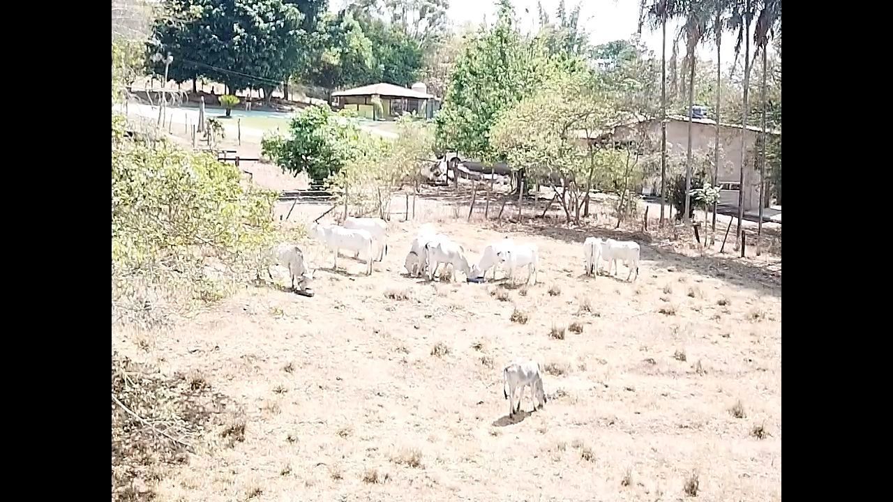 CHACARÁ EM BELA VISTA DE GOIÁS