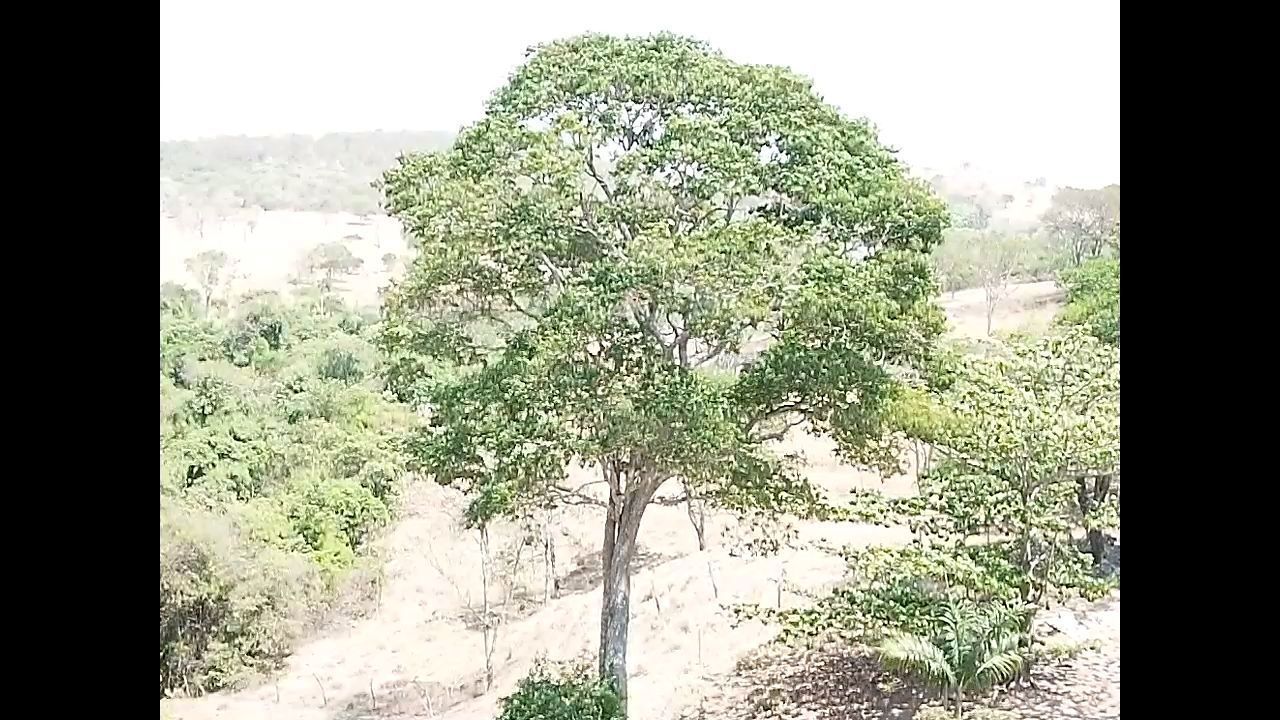 CHACARÁ EM BELA VISTA DE GOIÁS