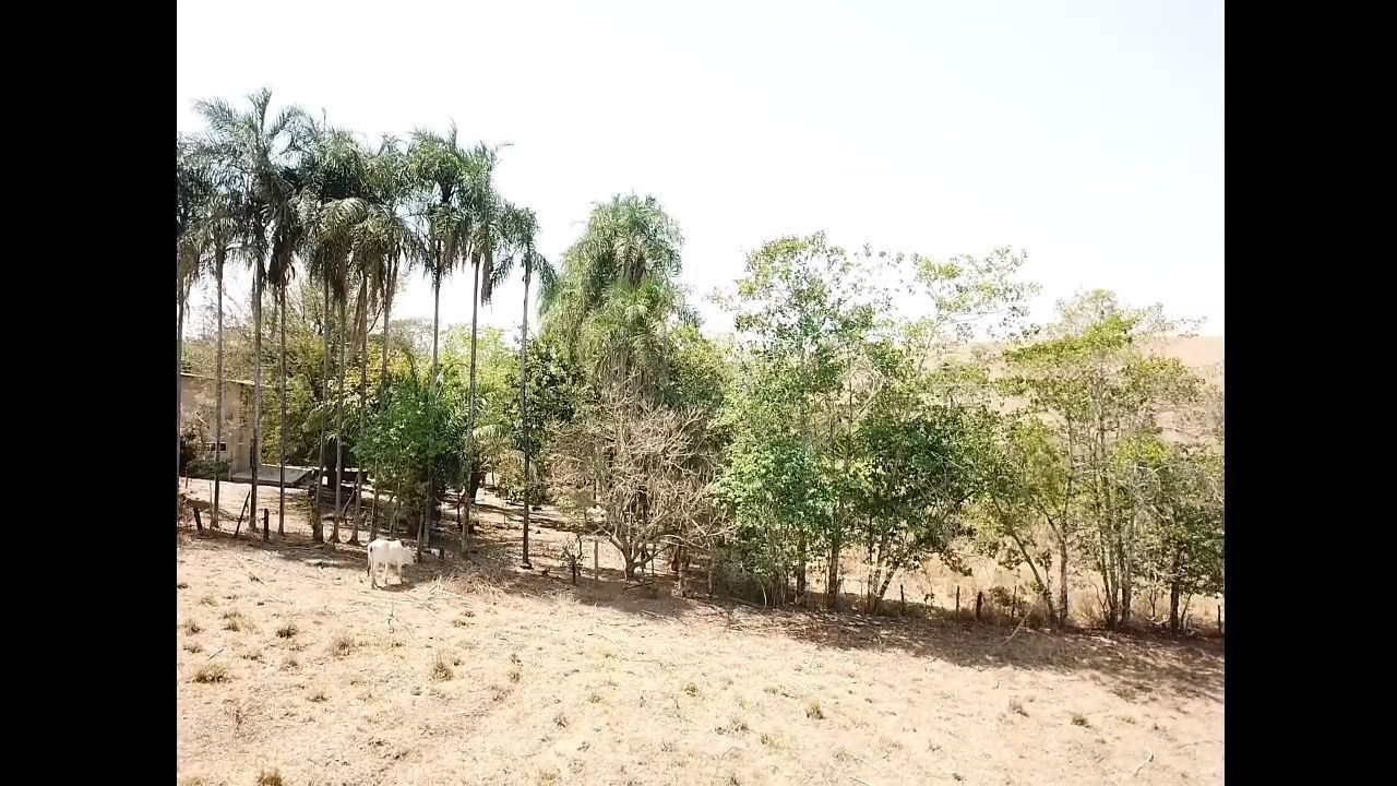 CHACARÁ EM BELA VISTA DE GOIÁS