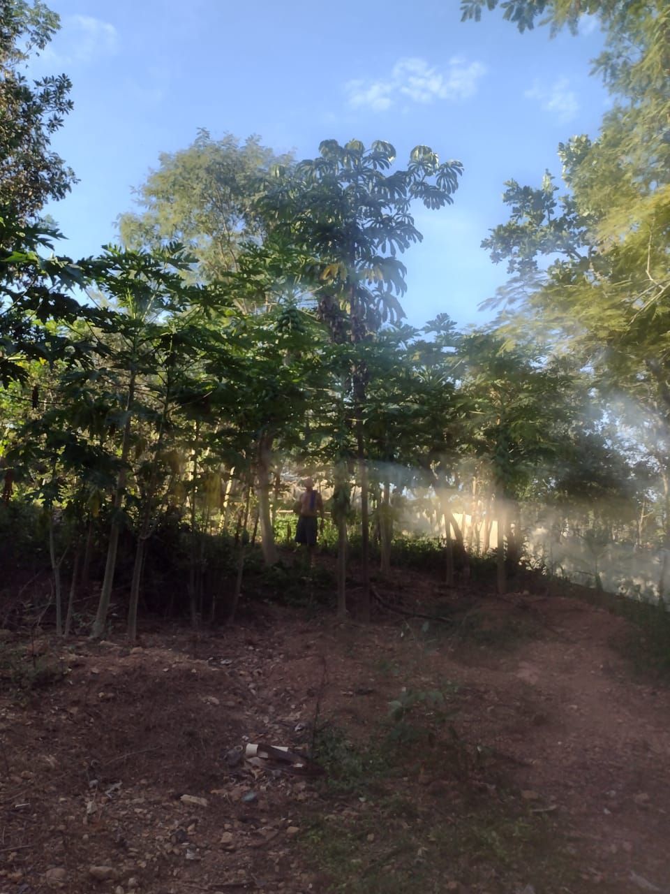 CHARA DE 5 MIL M² .ROSELANDIA , BELA VISTA DE GOIAS