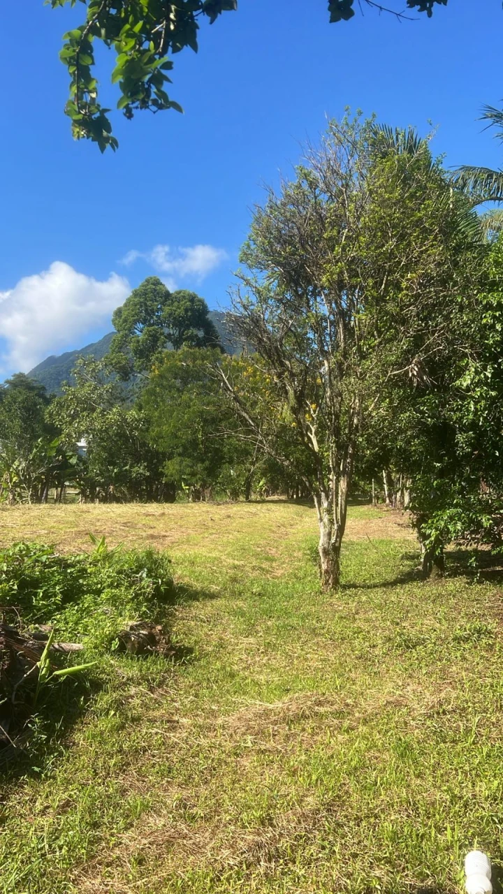 Imagens do imóveis Imóvel residencial em Pirabeiraba - SC 418