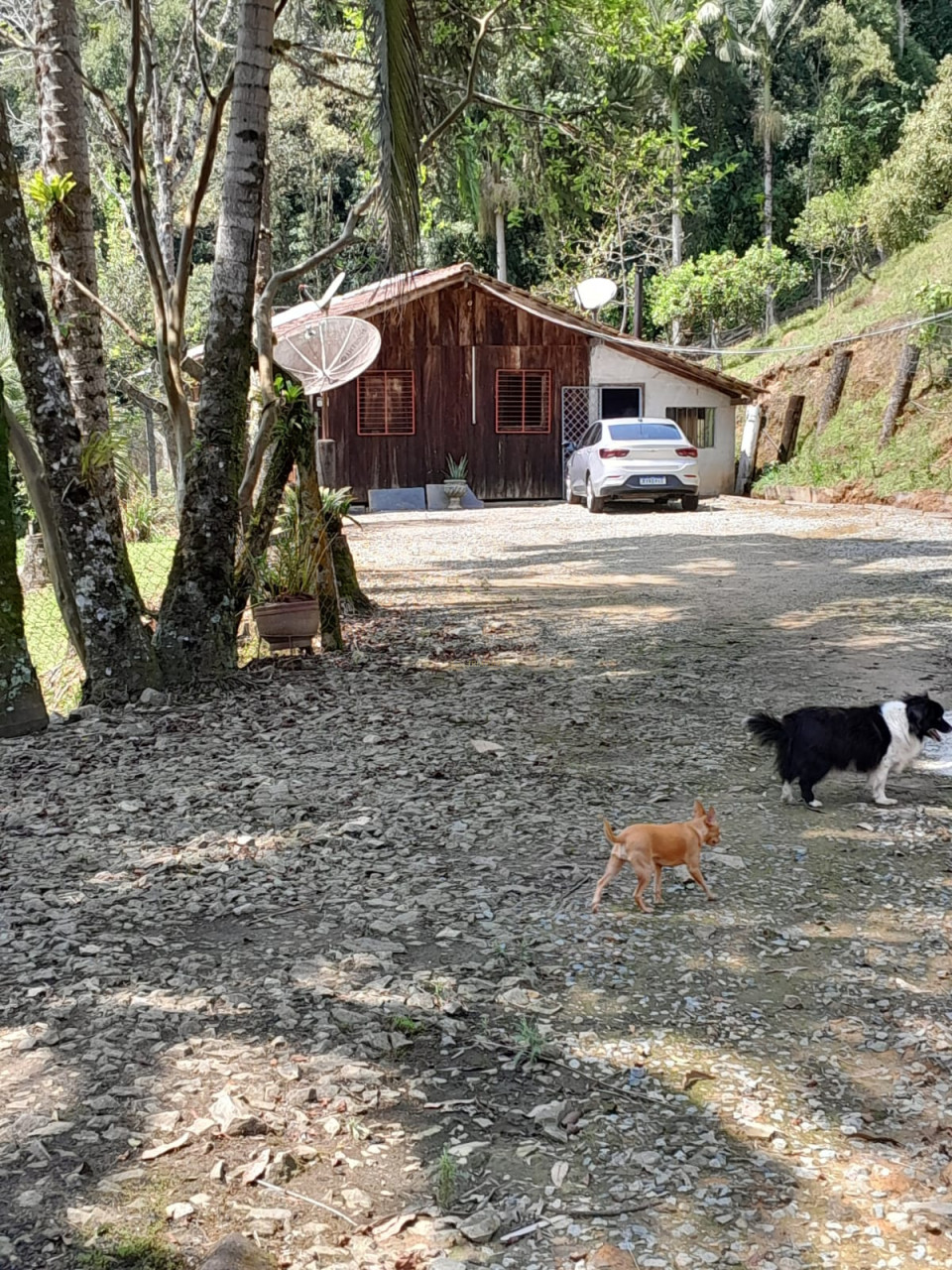 Imagens do imóveis CHACARA ENTRE CAMPO ALEGRE E JARAGUÁ DO SUL