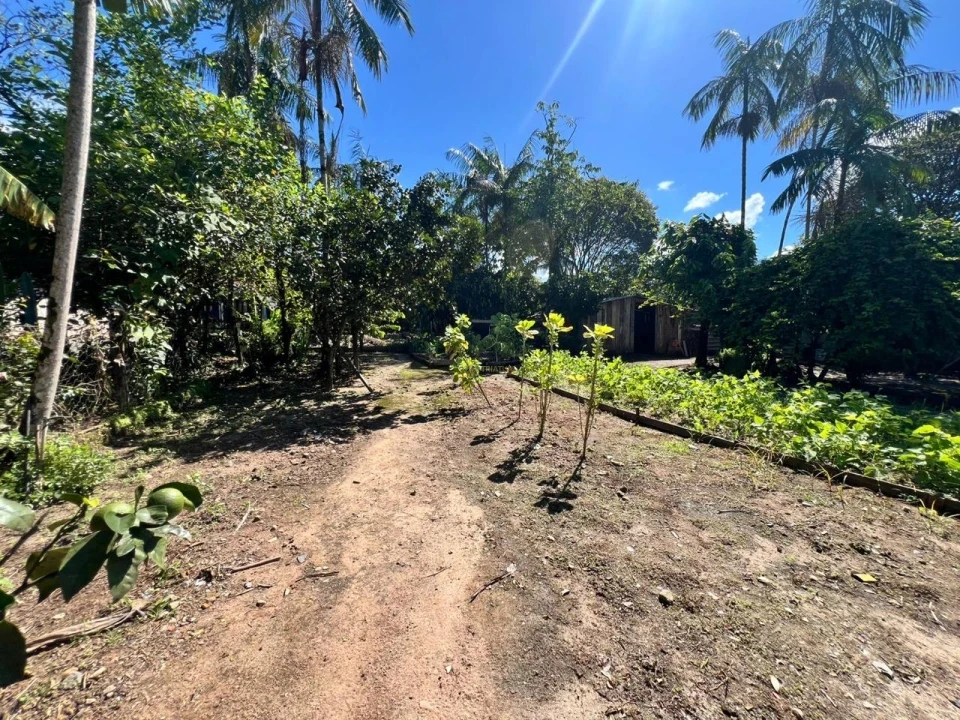 Imagens do imóveis Casa à venda na Estrada Pirabeiraba – Rio Bonito, Joinville