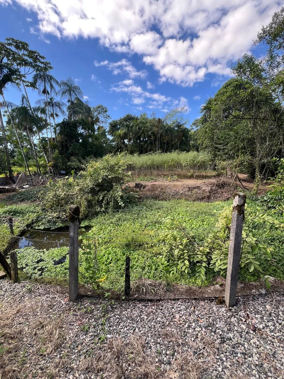 Imagens do imóveis Casa à venda na SC-418 (Pirabeiraba)