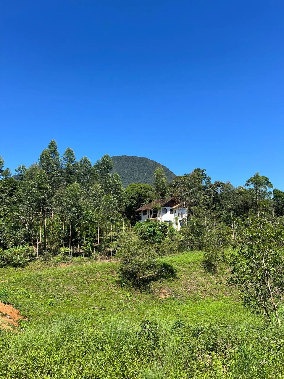 Imagens do imóveis Chácara à Venda Pirabeiraba  (Joinville)