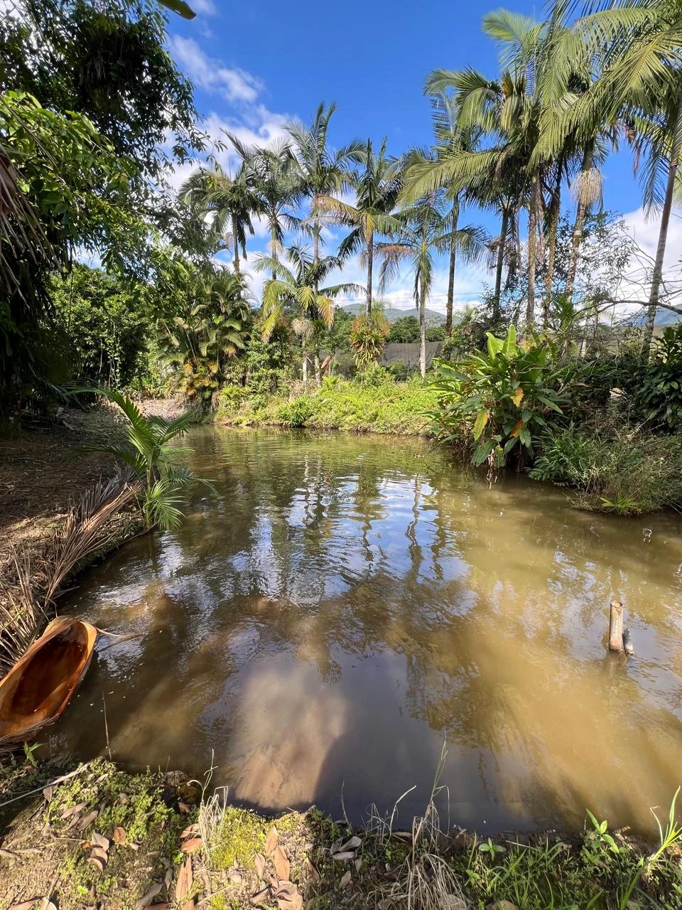 Imagens do imóveis Casa à venda na SC-418 (Pirabeiraba)