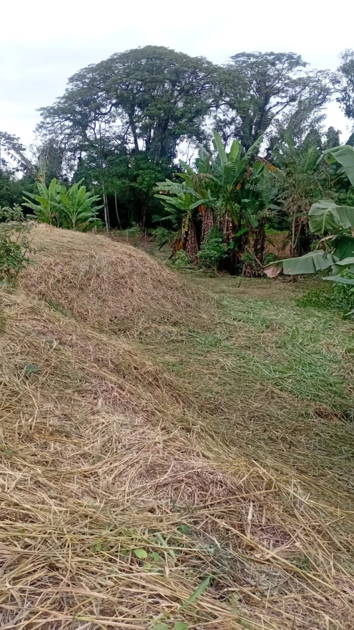 Imagens do imóveis Terreno à Venda no Rio Bonito (Pirabeiraba)